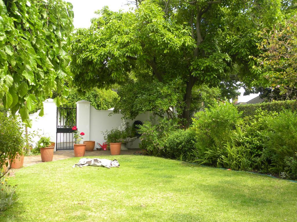 Applegarth B&B And Self-Catering Studios Kapstaden Eksteriør billede